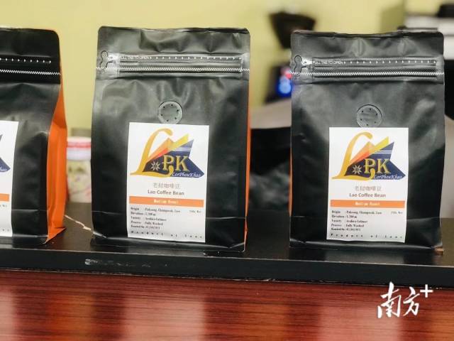 南方+：老撾精品咖啡首入中國，廣州成為第一站（轉載）